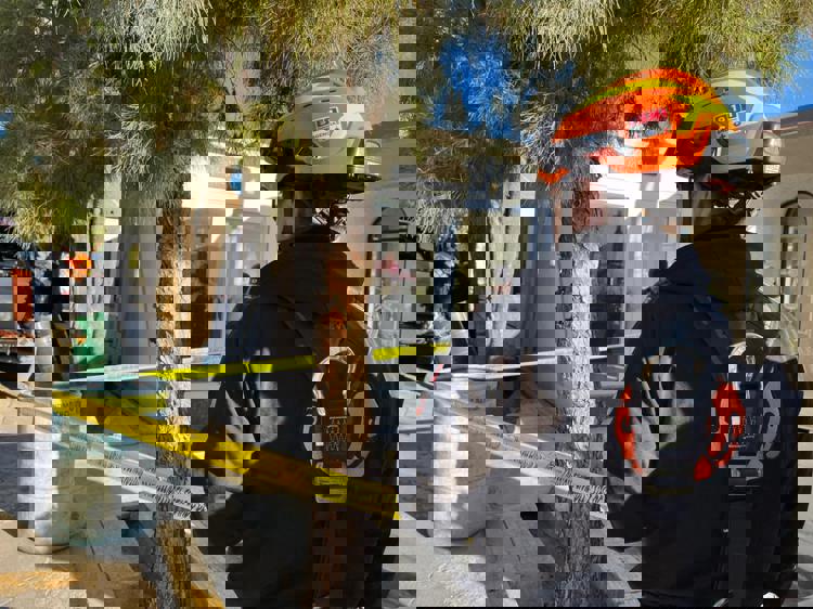 imagen-cuerpo imagen-cuerpo