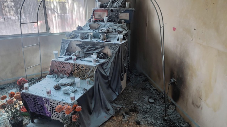 imagen-cuerpo imagen-cuerpo