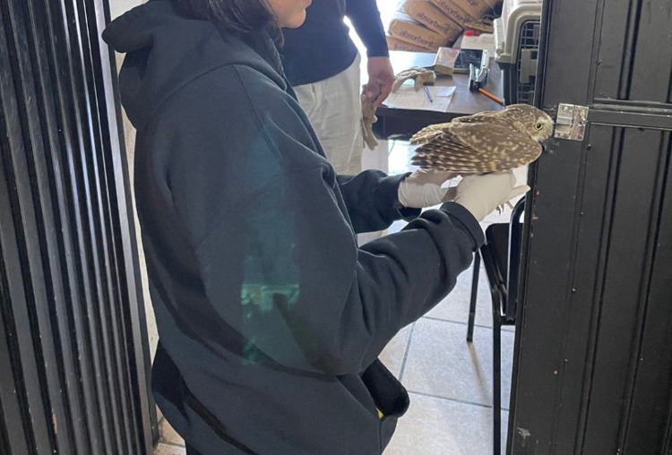 imagen-cuerpo imagen-cuerpo