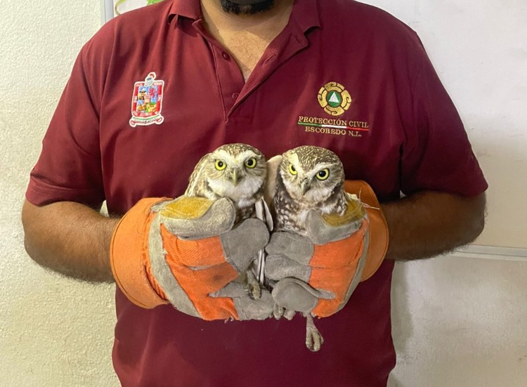 imagen-cuerpo imagen-cuerpo