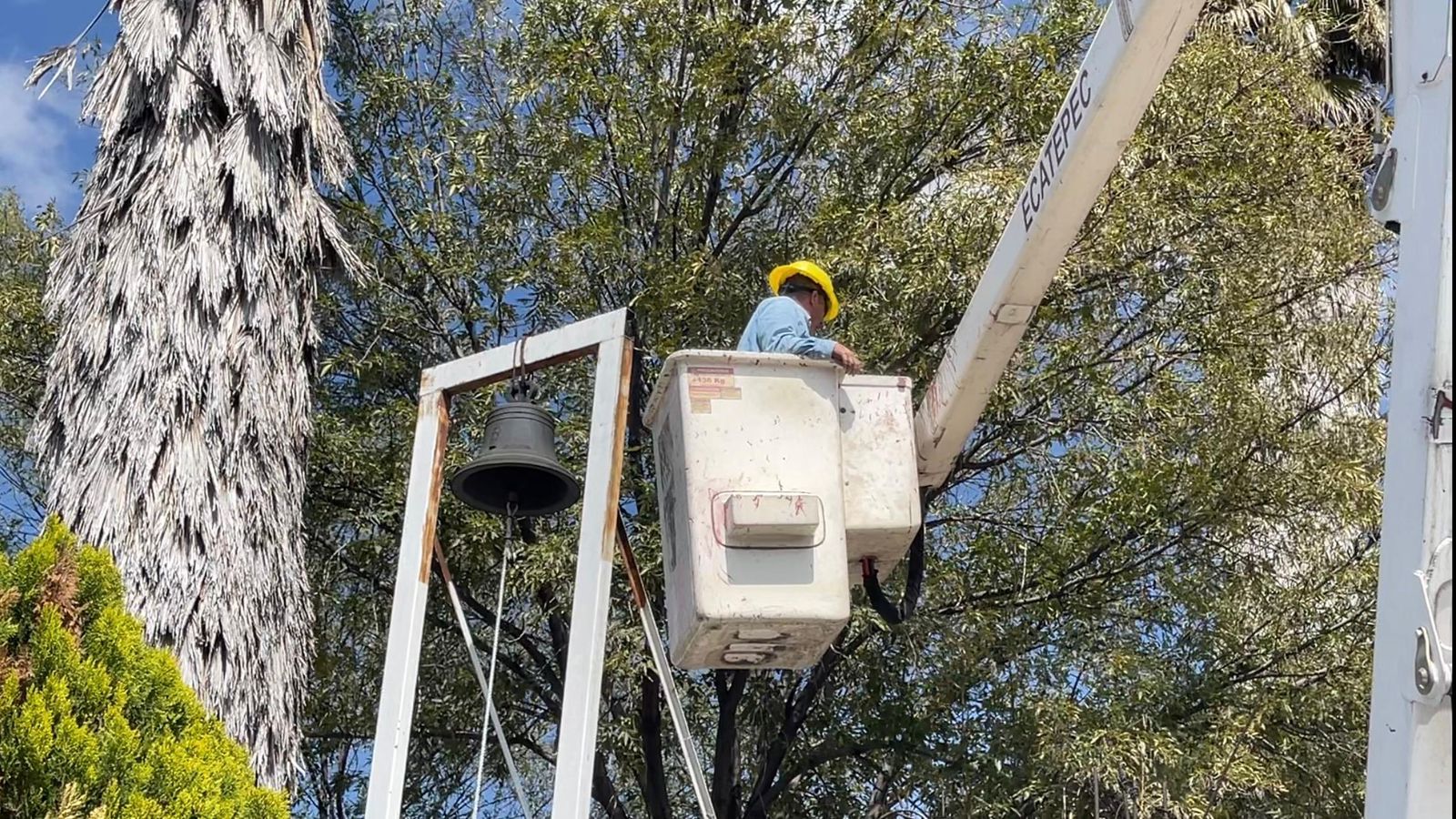 imagen-cuerpo imagen-cuerpo