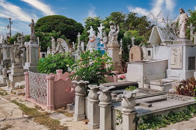 imagen-cuerpo imagen-cuerpo