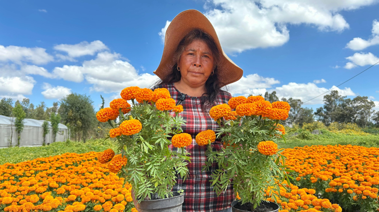 imagen-cuerpo imagen-cuerpo