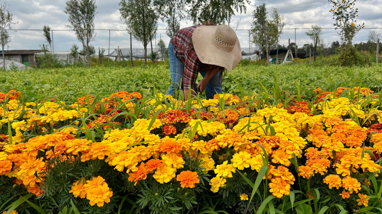 imagen-cuerpo imagen-cuerpo