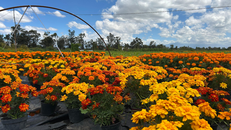 imagen-cuerpo imagen-cuerpo