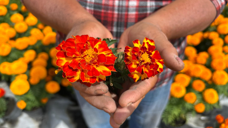 imagen-cuerpo imagen-cuerpo