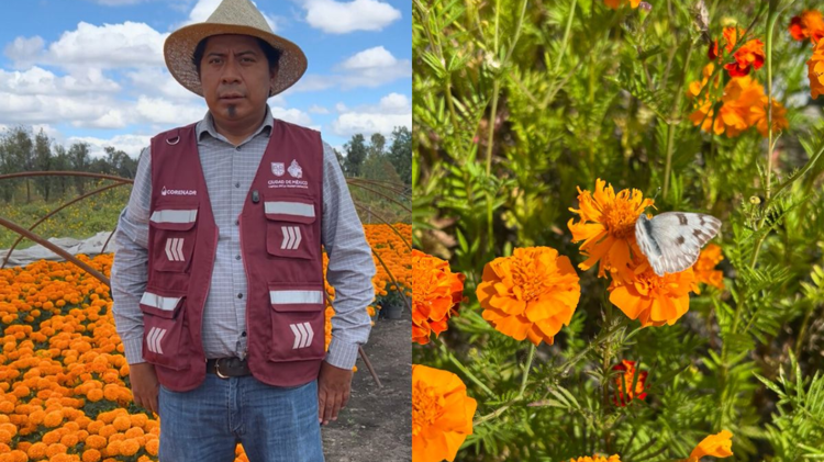 imagen-cuerpo imagen-cuerpo