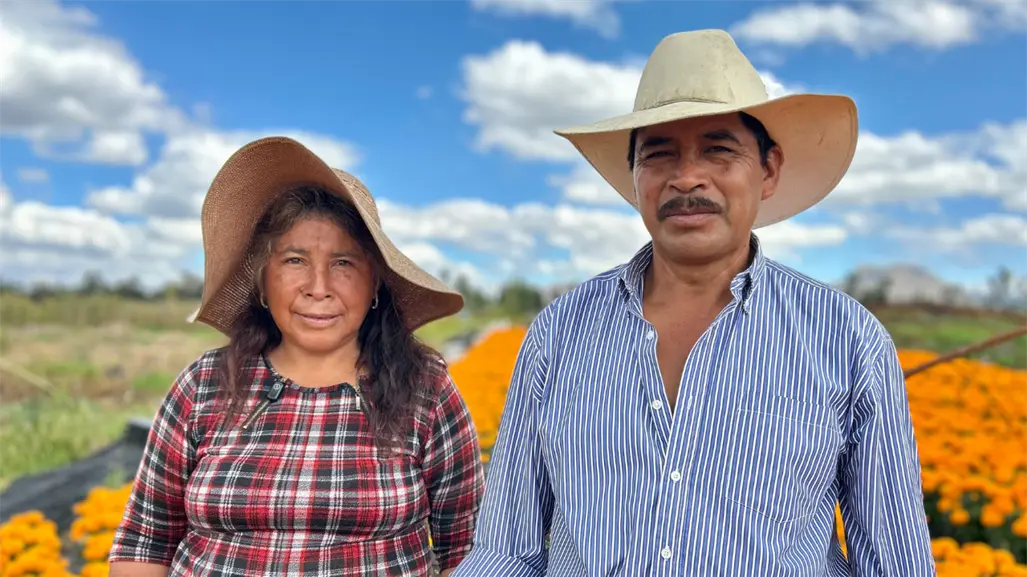 Cempasúchil en CDMX: Imelda y Víctor, el matrimonio de productores que innova con sus flores en Día de Muertos