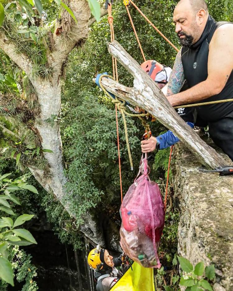 imagen-cuerpo imagen-cuerpo
