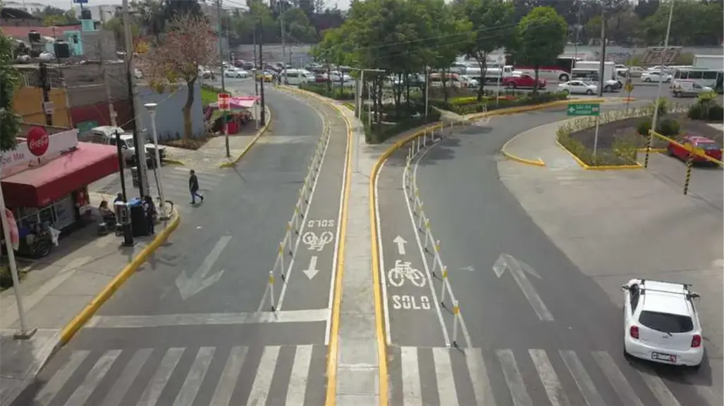 Nido de ave tapa boiler en Iztacalco y provoca intoxicación de mujer y sus dos perritas