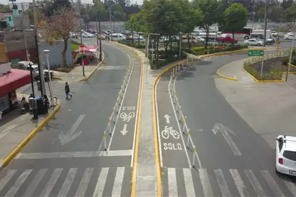 Nido de ave tapa boiler en Iztacalco y provoca intoxicación de mujer y sus dos perritas Nido de ave tapa boiler en Iztacalco y provoca intoxicación de mujer y sus dos perritas