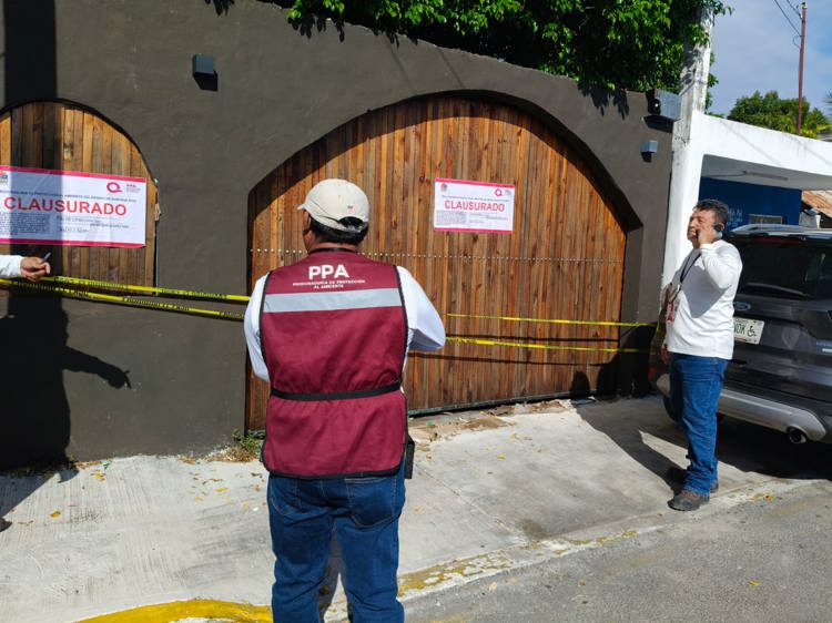 imagen-cuerpo imagen-cuerpo