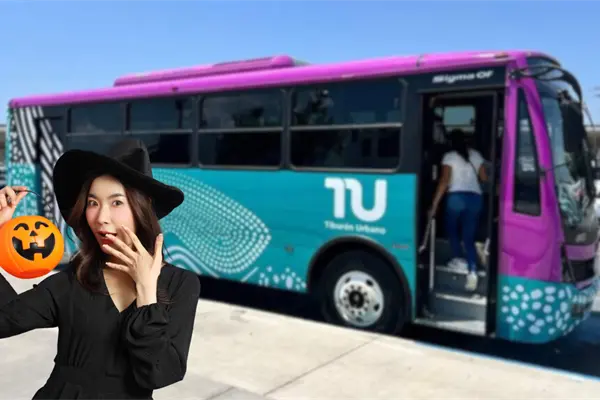 Halloween 2025: Tiburón Urbano sí operará el 31 de octubre, pero con este horario restringido Halloween 2025: Tiburón Urbano sí operará el 31 de octubre, pero con este horario restringido