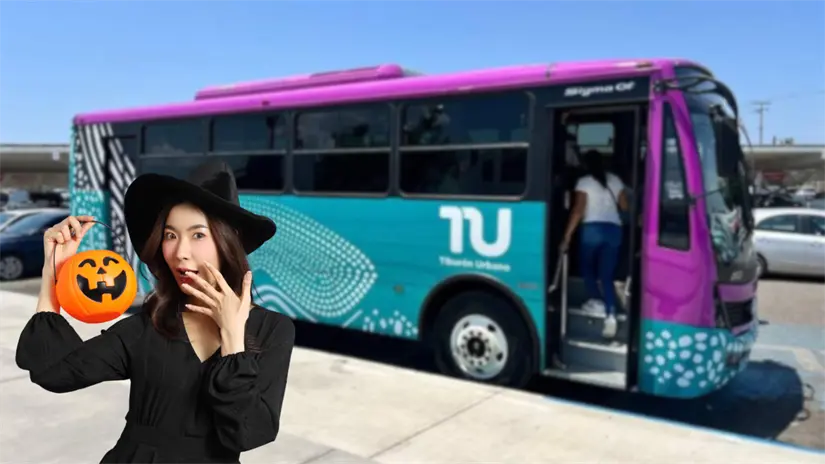 imagen recuadro Foto: Ayuntamiento de La Paz.