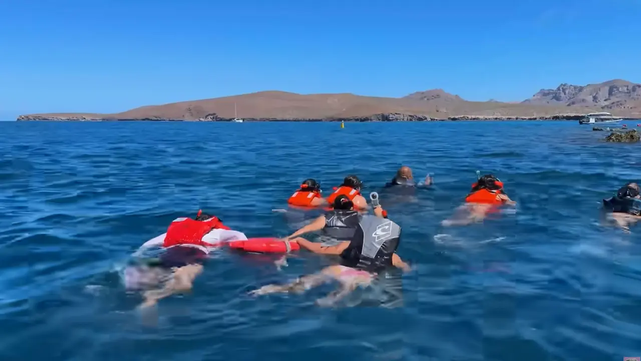 Foto: Cygnus y Romantic Vlogs / Youtube.