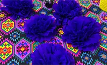 Día de Muertos: ¿Cuál es el material que se agotó en varias papelerías de La Paz? Día de Muertos: ¿Cuál es el material que se agotó en varias papelerías de La Paz?