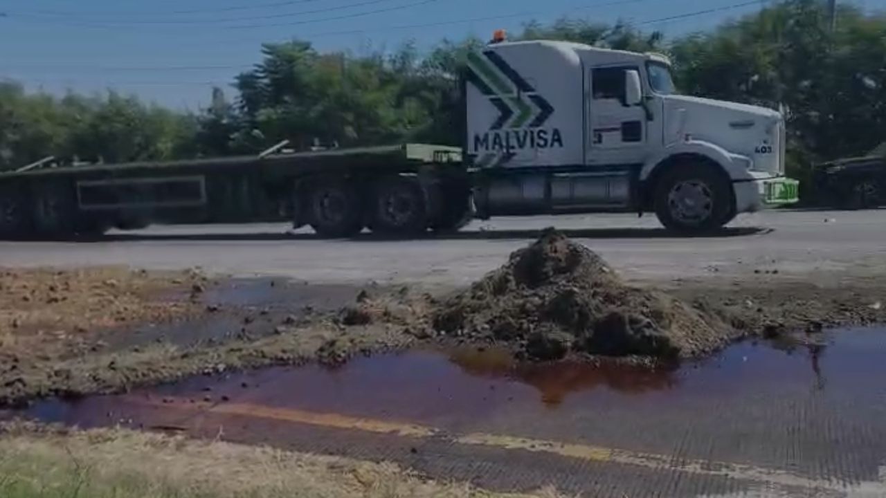 imagen-cuerpo imagen-cuerpo