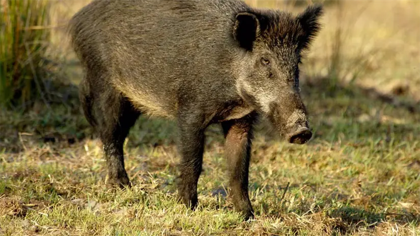 imagen recuadro imagen recuadro