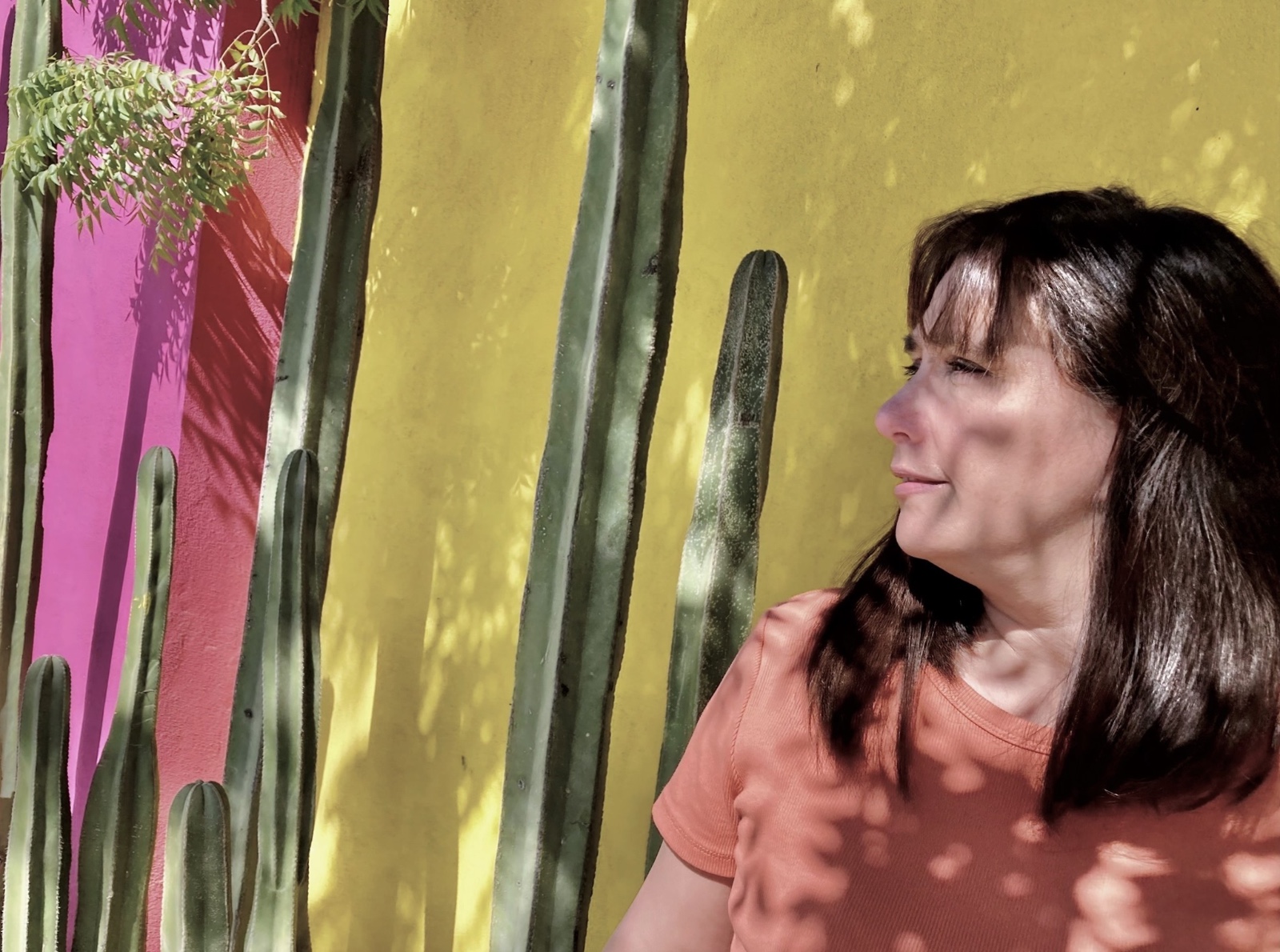 imagen-cuerpo imagen-cuerpo