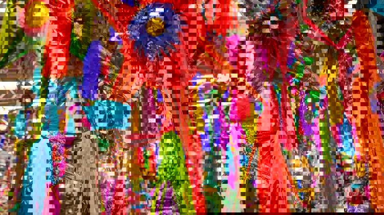 imagen-cuerpo imagen-cuerpo