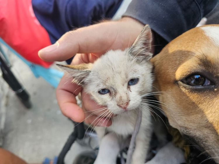 imagen-cuerpo imagen-cuerpo