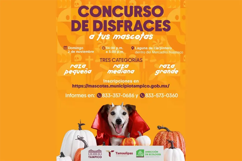 imagen recuadro Concurso de disfraces par tus mascotas | Foto: FB Dirección de Ecología Tampico