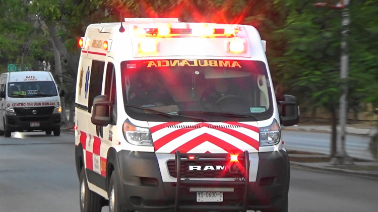 imagen-cuerpo imagen-cuerpo