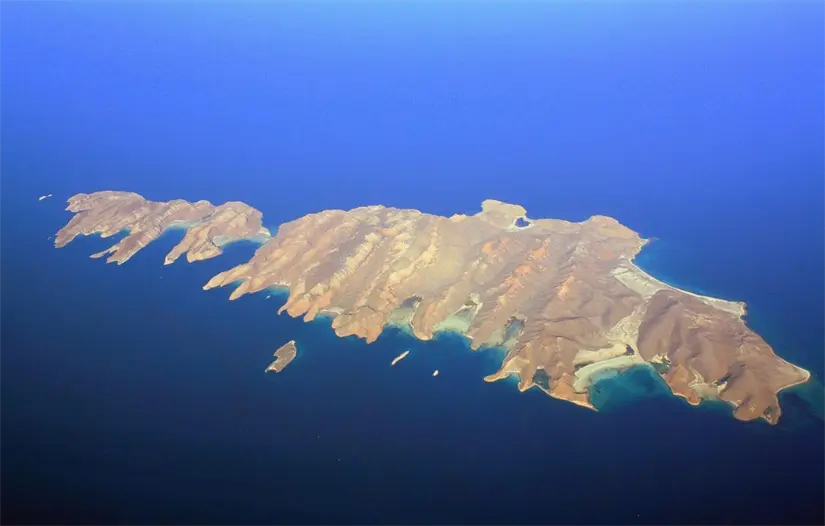 imagen recuadro Foto: Sudcalifornios.com