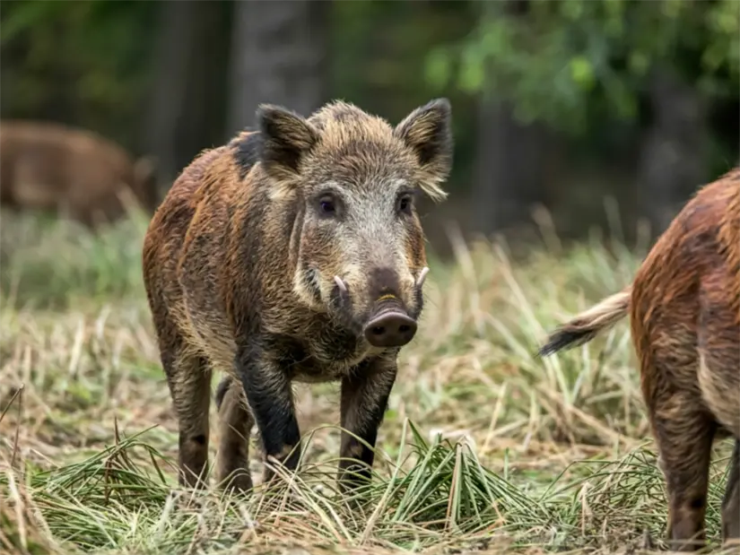 imagen recuadro imagen recuadro