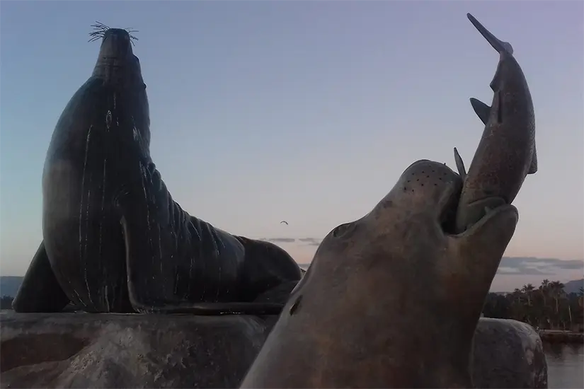 Foto: Modesto Peralta Delgado.