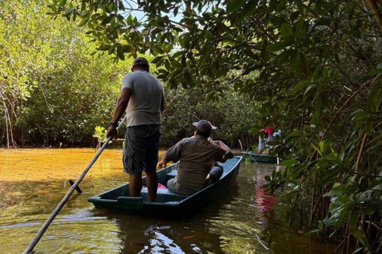 imagen-cuerpo imagen-cuerpo