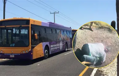 VIDEO | Ruta del Desierto: pasajero acusa a chofer de golpearlo tras discusión por pasaje