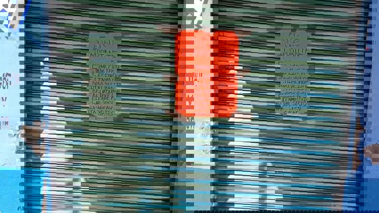 imagen-cuerpo imagen-cuerpo