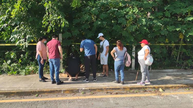 imagen-cuerpo imagen-cuerpo