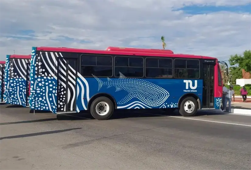 imagen recuadro Foto: Tribuna de México.