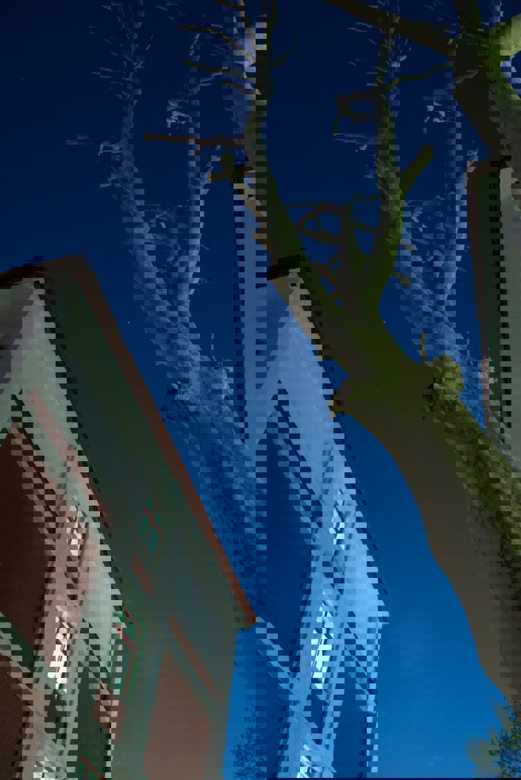 imagen-cuerpo imagen-cuerpo