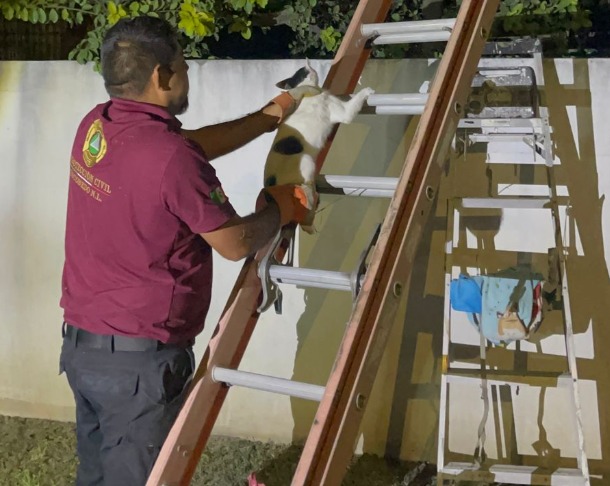 imagen-cuerpo imagen-cuerpo