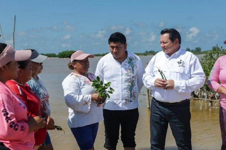 imagen-cuerpo imagen-cuerpo