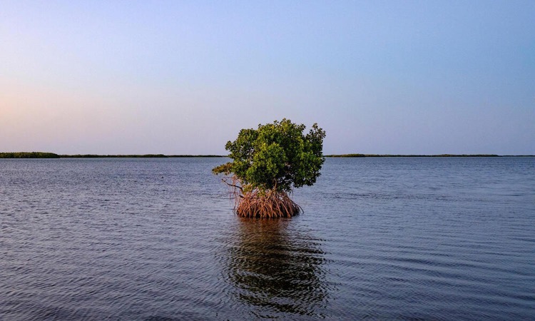 imagen-cuerpo imagen-cuerpo