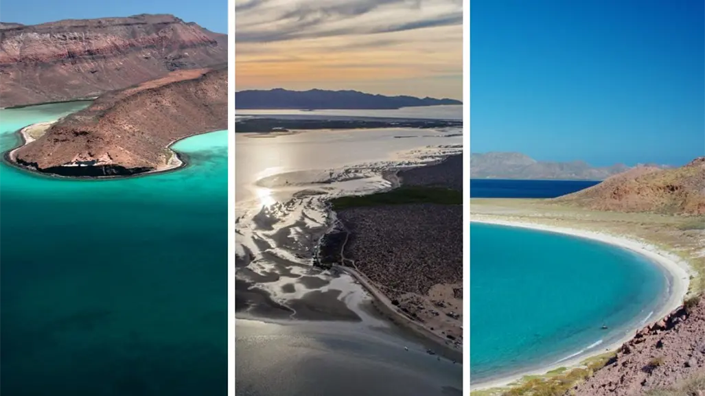 ¿Sabías que hay islas protegidas en Baja California Sur? Aquí te contamos cuáles son