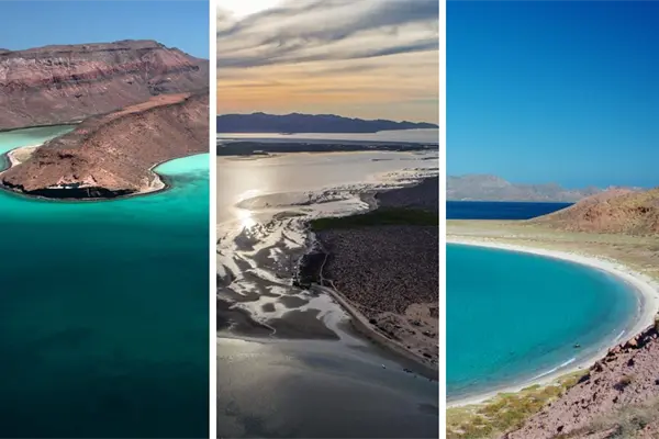¿Sabías que hay islas protegidas en Baja California Sur? Aquí te contamos cuáles son ¿Sabías que hay islas protegidas en Baja California Sur? Aquí te contamos cuáles son