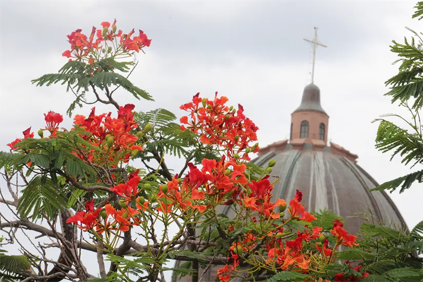 Foto: Modesto Peralta Delgado.