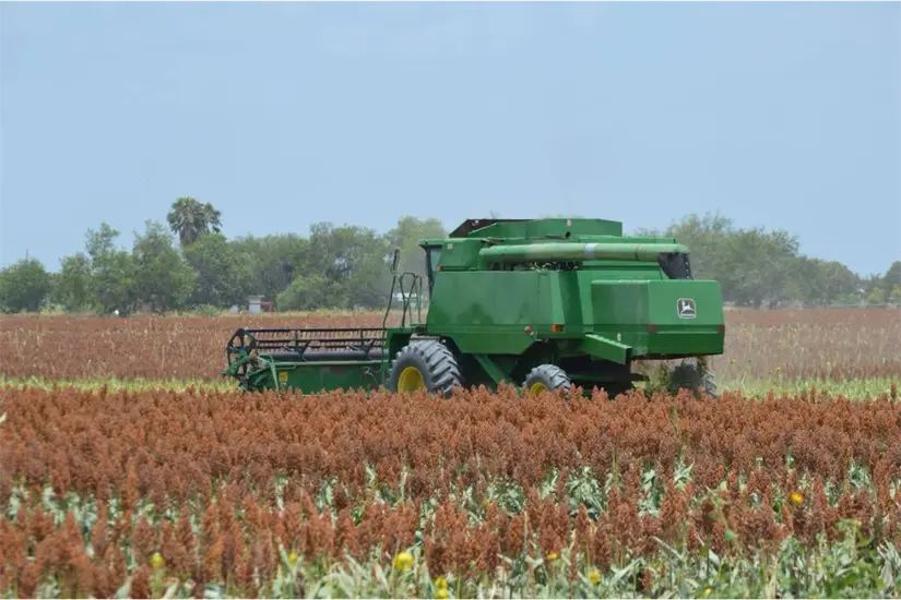 imagen recuadro Estas cifras reflejan la fortaleza de las actividades agropecuarias, industriales y manufactureras. Foto: Carlos García