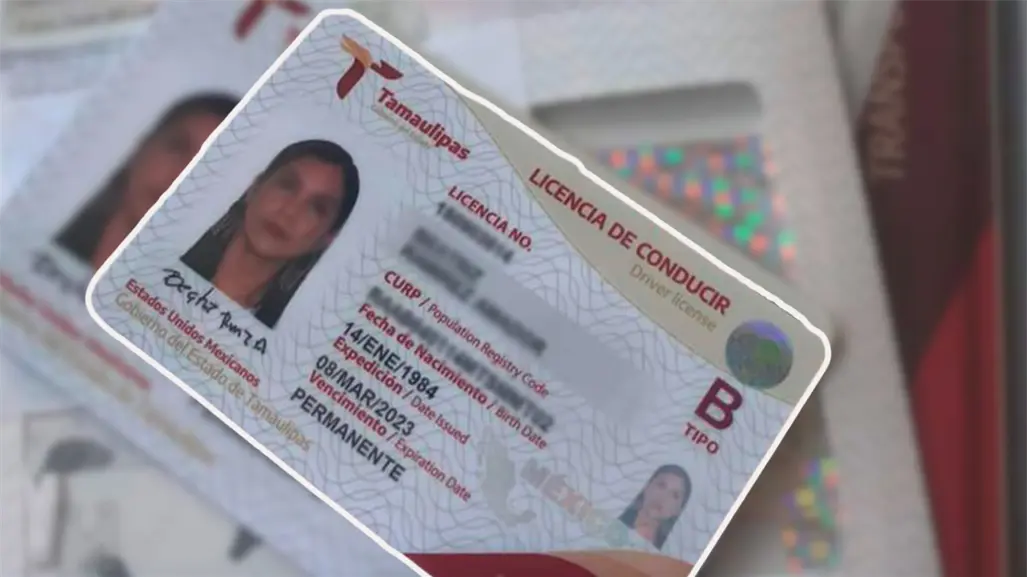 Beneficios de hasta el 50% de descuento en pagos de derechos vehiculares y licencia de manejo en Tamaulipas