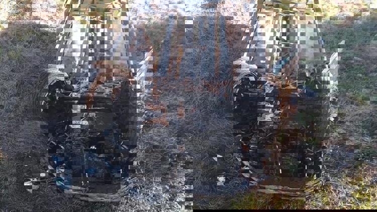 imagen-cuerpo imagen-cuerpo