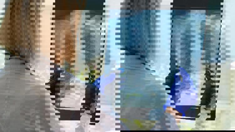 imagen-cuerpo imagen-cuerpo