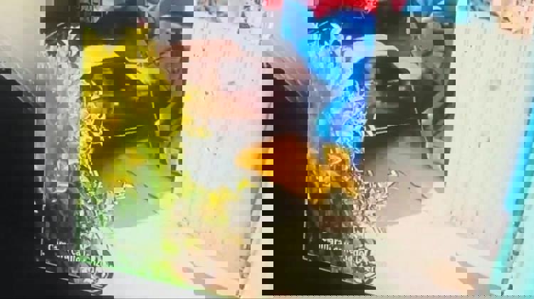 imagen-cuerpo imagen-cuerpo