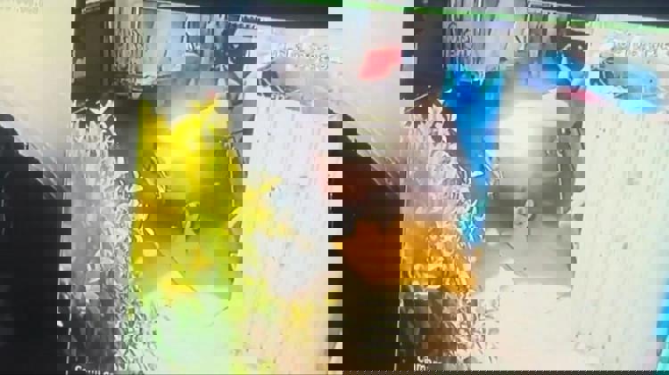 imagen-cuerpo imagen-cuerpo