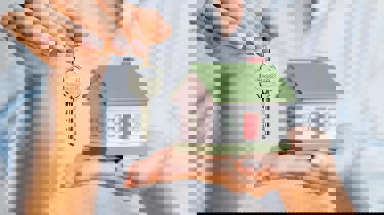 imagen-cuerpo imagen-cuerpo