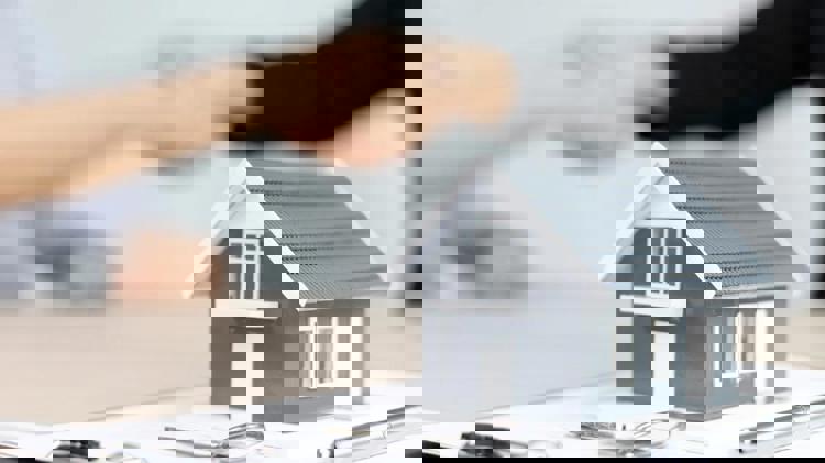 imagen-cuerpo imagen-cuerpo